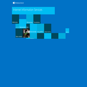 IIS Windows Server