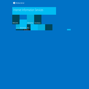 IIS Windows Server